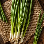 West Coast Seeds Scallion Seeds